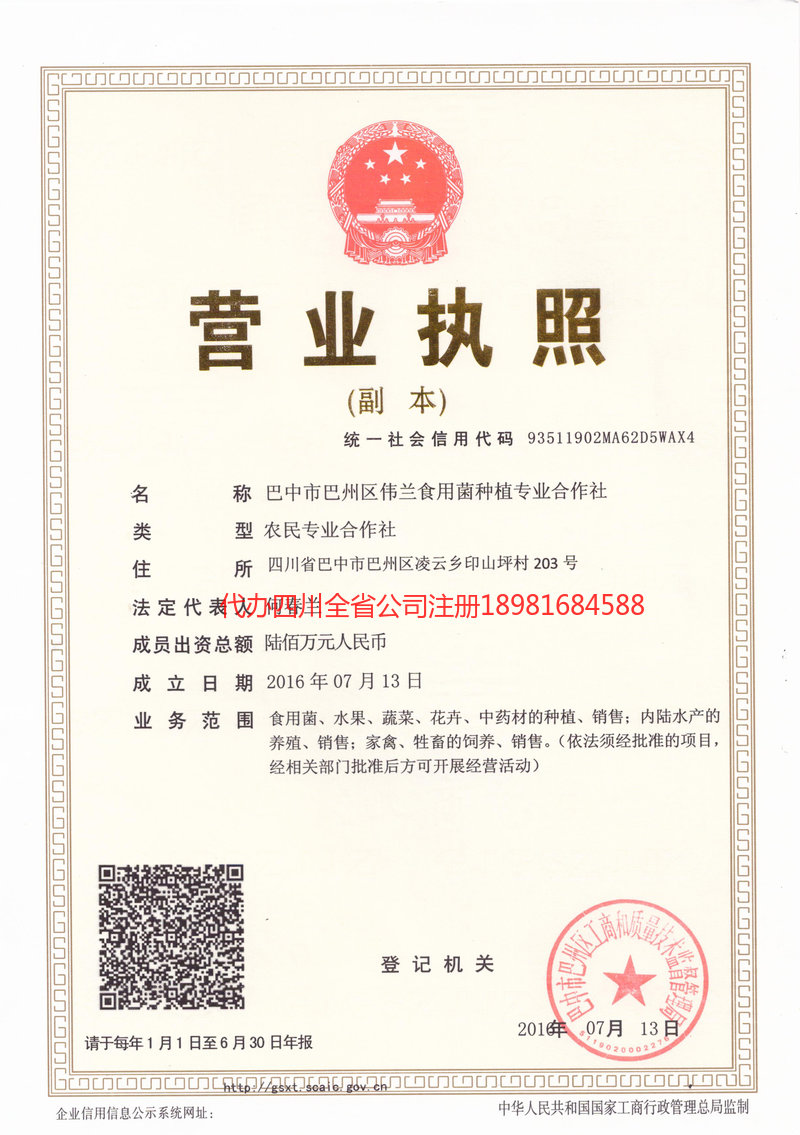 汾阳汾阳伟兰食用菌种植专业合作社